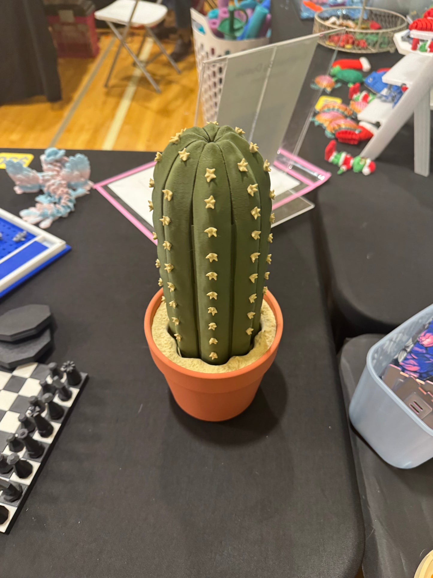 Magnetic Cactus Chess