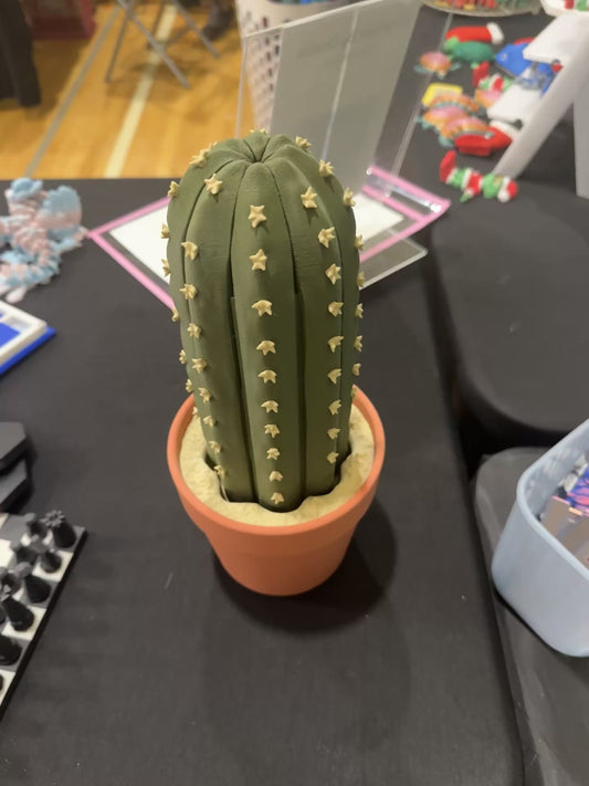 Magnetic Cactus Chess